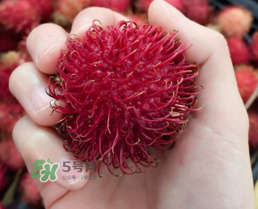 紅毛丹是什么水果？紅毛丹是熱性水果嗎？