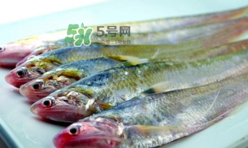 刁子魚是秋刀魚嗎？刁子魚是海魚嗎？