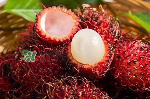 新鮮紅毛丹可以放多久？紅毛丹能放多久