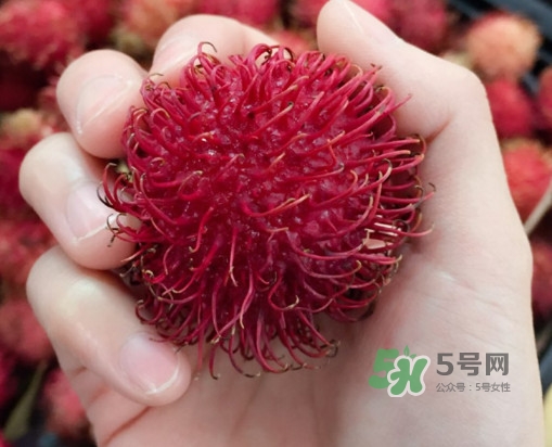 吃紅毛丹對身體有什么好處？紅毛丹有什么營養(yǎng)價值