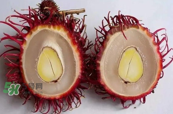 紅毛丹的核可以種嗎？紅毛丹的核怎么種