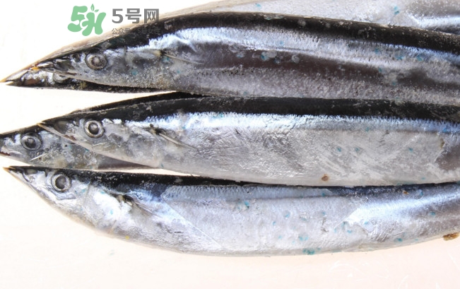 秋刀魚是海魚嗎？秋刀魚是淡水魚還是海魚