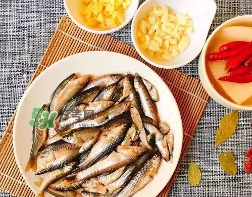 刁子魚多少錢一斤？刁子魚價(jià)格表