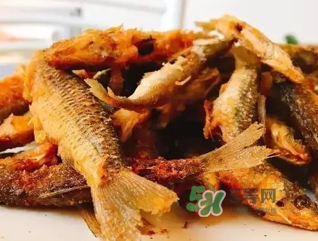 刁子魚多少錢一斤？刁子魚價(jià)格表