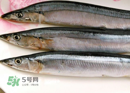 秋刀魚是不是鲅魚？秋刀魚和鲅魚的區(qū)別