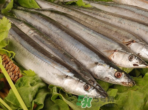 秋刀魚為什么那么便宜？秋刀魚為什么叫秋刀魚