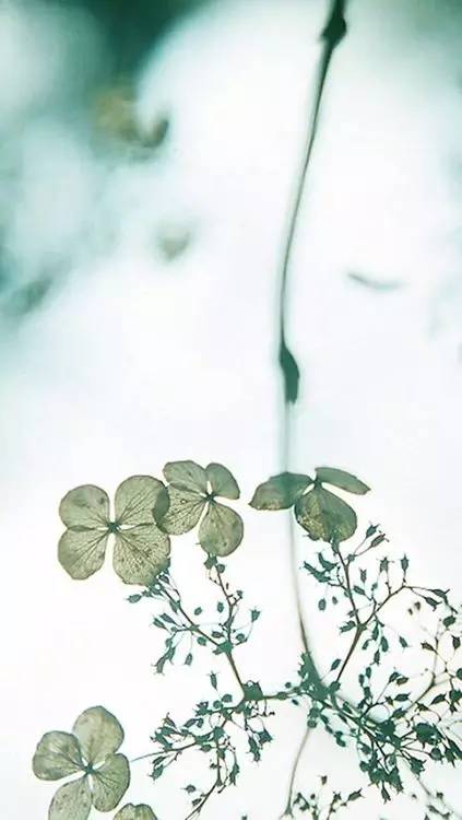 這世上，只有一種男人不會出軌