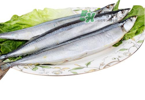 秋刀魚是海魚嗎？秋刀魚是淡水魚還是海魚