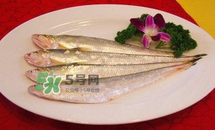 秋刀魚是刀魚嗎？秋刀魚和刀魚的區(qū)別