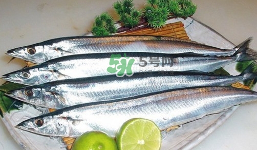 秋刀魚是刀魚嗎？秋刀魚和刀魚的區(qū)別