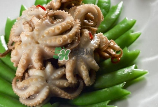 八爪魚的頭能吃嗎？八爪魚的頭里面是什么