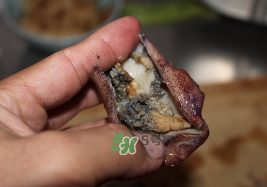 筆管魚(yú)怎么清洗？筆管魚(yú)怎么處理