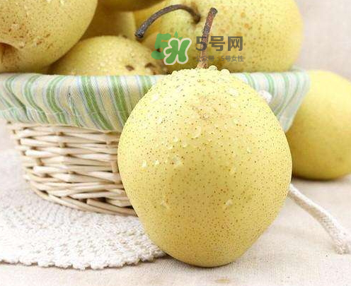 雪花梨什么時(shí)候成熟？雪花梨幾月份成熟？