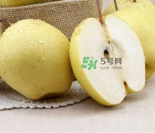 雪花梨什么時(shí)候成熟？雪花梨幾月份成熟？