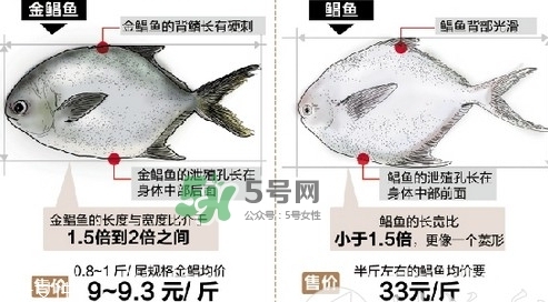 金鯧魚是海魚嗎？金鯧魚的刺多嗎？