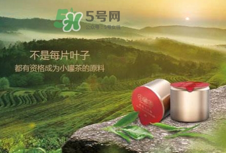 小罐茶是什么茶？小罐茶是哪八種茶？