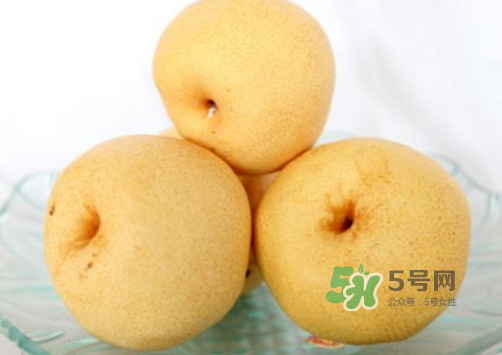 貢梨是雪梨嗎？貢梨和雪梨的區(qū)別