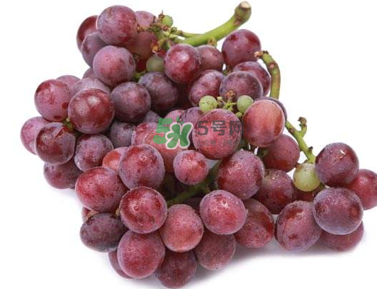 心形葡萄什么品種？心形葡萄怎么種？