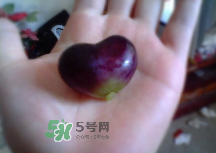 心形葡萄能吃嗎？心形葡萄和普通葡萄的區(qū)別