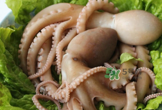 八爪魚的頭能吃嗎？八爪魚的頭里面是什么