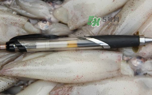 筆管魚(yú)是什么魚(yú)？筆管魚(yú)怎么吃