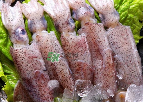 筆管魚(yú)怎么清洗？筆管魚(yú)怎么處理