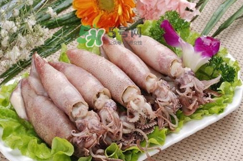 筆管魚怎么做好吃？筆管魚有什么營養(yǎng)