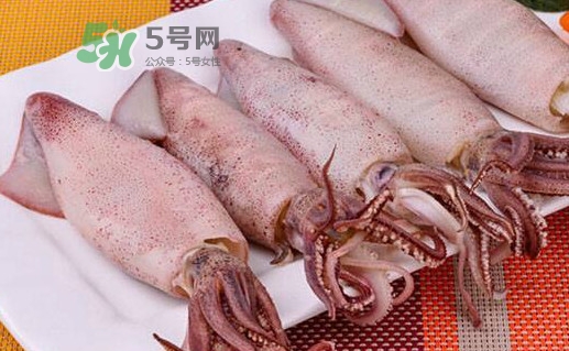 海兔子是小魷魚嗎？海兔子和魷魚的區(qū)別