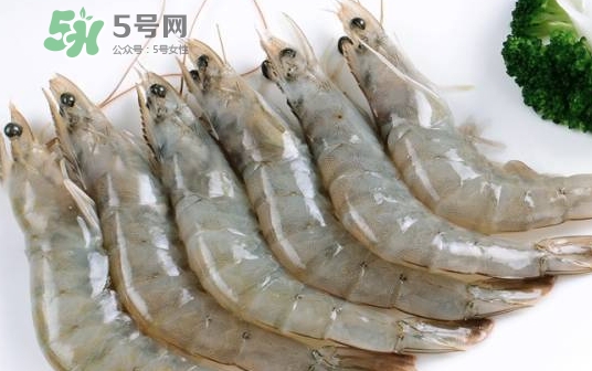 厄瓜多爾蝦是海蝦嗎？厄瓜多爾蝦好吃嗎？