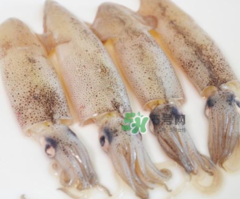 筆管魚(yú)是什么魚(yú)？筆管魚(yú)怎么吃