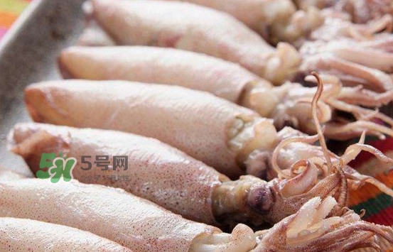 海兔子是小魷魚嗎？海兔子和魷魚的區(qū)別
