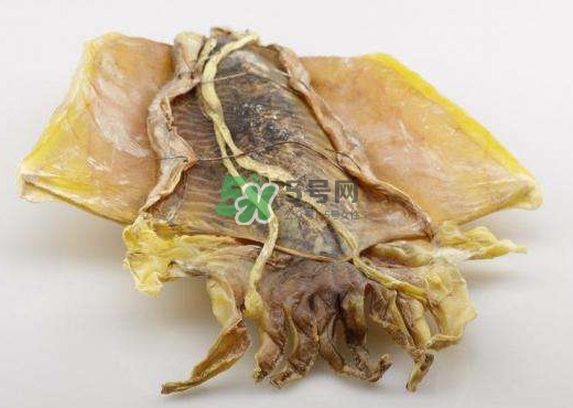 魷魚干是生的還是熟的？魷魚干是海鮮嗎