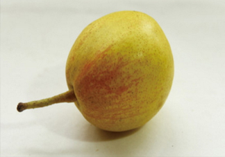 香梨怎么挑？香梨的功效與作用