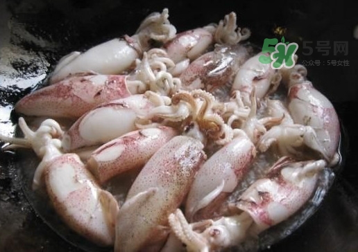 筆管魚是魷魚嗎？筆管魚和魷魚的區(qū)別