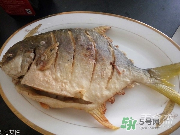 金鯧魚是海魚嗎？金鯧魚的刺多嗎？