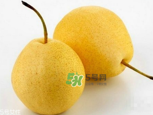 貢梨可以做冰糖雪梨嗎？貢梨可以燉川貝嗎？