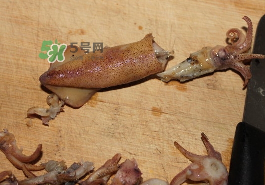 筆管魚(yú)怎么清洗？筆管魚(yú)怎么處理