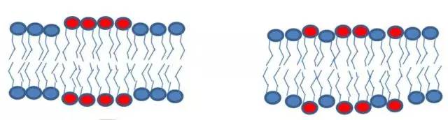 皮膚屏障受損什么意思 什么原因?qū)е缕つw屏障受損 皮膚屏障受損什么意思 什么原因?qū)е缕つw屏障受損