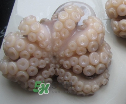 章魚有牙齒嗎？章魚天敵是什么