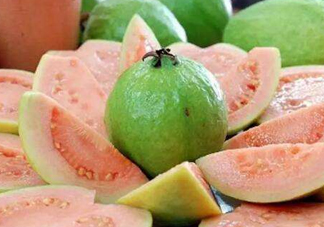芭樂(lè)和石榴有什么區(qū)別？芭樂(lè)要吃硬的還是軟的？