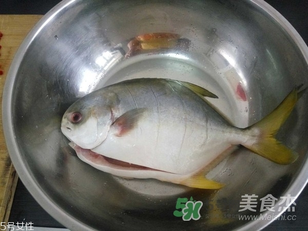 金鯧魚是海魚嗎？金鯧魚的刺多嗎？