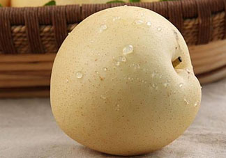 雪花梨什么時候成熟？雪花梨幾月份成熟？