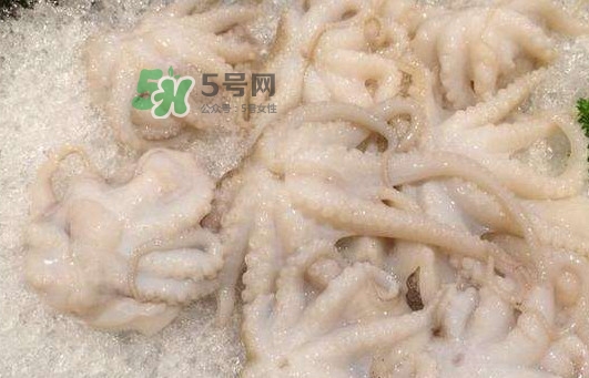 八爪魚的頭能吃嗎？八爪魚的頭里面是什么
