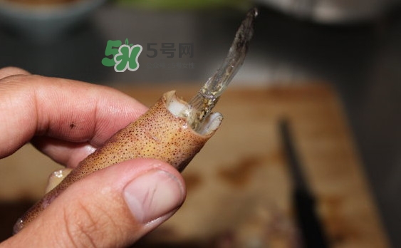 筆管魚(yú)怎么清洗？筆管魚(yú)怎么處理