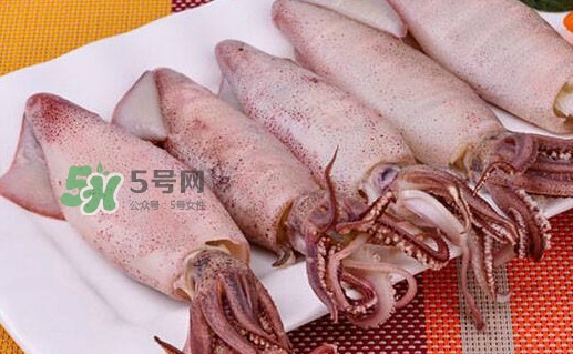 筆管魚怎么做好吃？筆管魚有什么營養(yǎng)