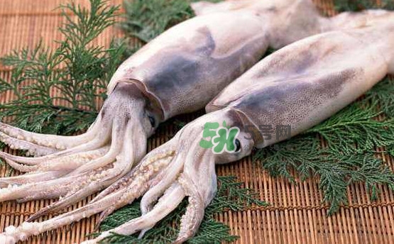 魷魚和雞蛋可以同時(shí)食用？魷魚不能和什么一起吃