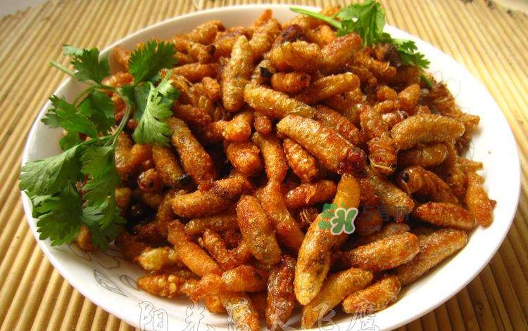 蜂蛹可以生吃嗎？蜂蛹的營養(yǎng)價值