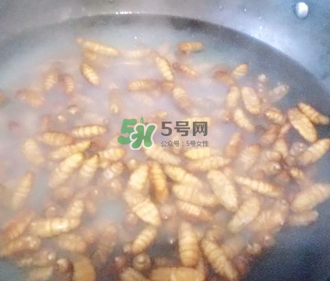 蜂蛹怎么保存？蜂蛹怎么做好吃？