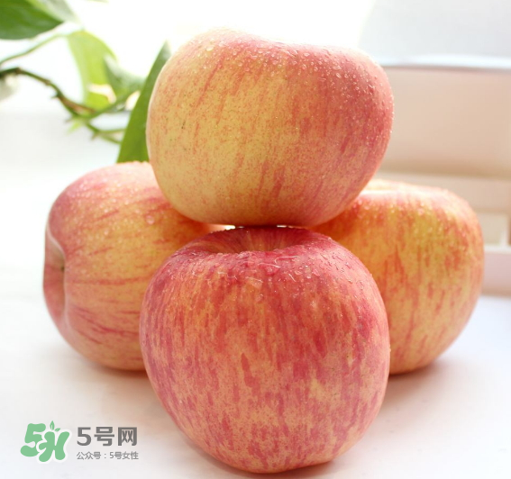 蘋果種類有哪些？蘋果種類哪種最好