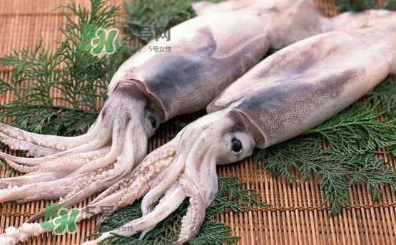 魷魚(yú)是海魚(yú)嗎？魷魚(yú)怎么炒好吃